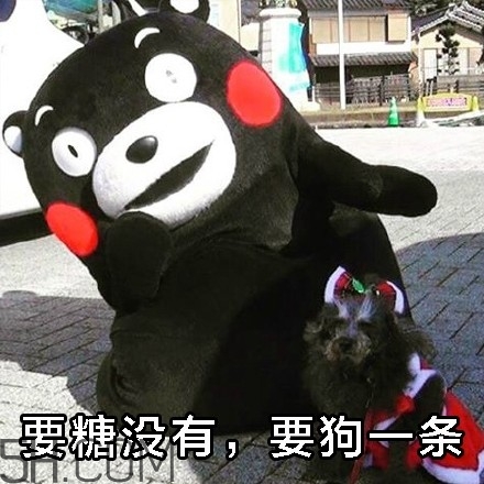 不給糖就搗蛋無(wú)水印表情包 萬(wàn)圣節(jié)不給糖就搗蛋 不給糖就搗蛋無(wú)水印表情包 萬(wàn)圣節(jié)不給糖就搗蛋