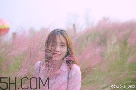 粉黛亂子是什么植物？粉黛亂子草花語