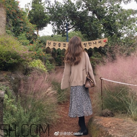 粉黛亂子是什么植物？粉黛亂子草花語