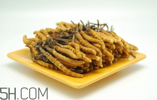 冬蟲(chóng)夏草可以人工種植嗎？冬蟲(chóng)夏草可不可以放在冰箱里