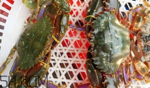 花蓋蟹和梭子蟹哪個好吃？花蓋蟹和梭子蟹區(qū)別