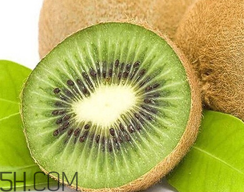 海沃德獼猴桃?guī)自率?海沃德獼猴桃什么時(shí)候成熟 海沃德獼猴桃?guī)自率?海沃德獼猴桃什么時(shí)候成熟