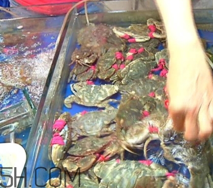 花蓋蟹和梭子蟹哪個好吃？花蓋蟹和梭子蟹區(qū)別