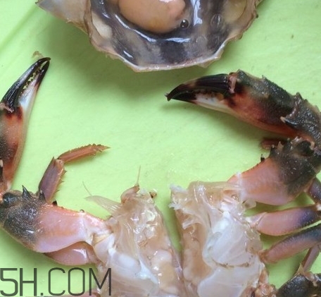 花蓋蟹和梭子蟹哪個好吃？花蓋蟹和梭子蟹區(qū)別