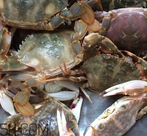 花蓋蟹和梭子蟹哪個好吃？花蓋蟹和梭子蟹區(qū)別