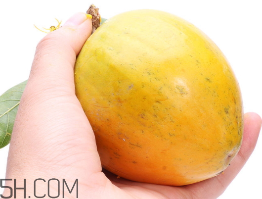 蛋黃果孕婦可以吃嗎 孕婦吃蛋黃果的好處 蛋黃果孕婦可以吃嗎 孕婦吃蛋黃果的好處