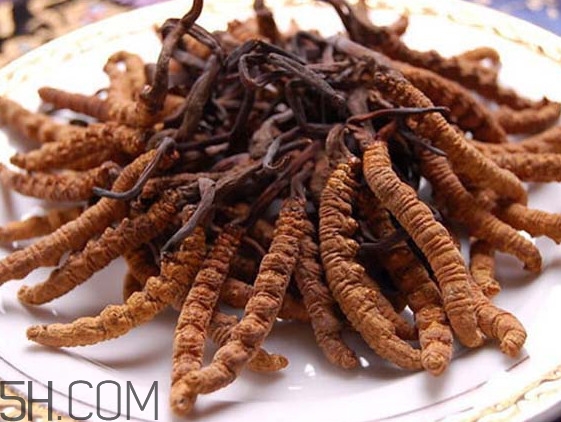 冬蟲(chóng)夏草可以人工種植嗎？冬蟲(chóng)夏草可不可以放在冰箱里