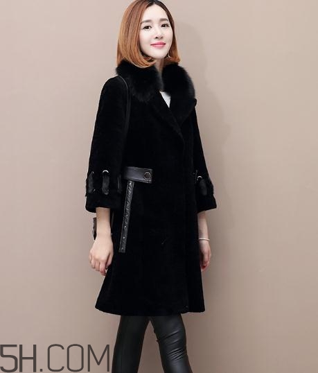 水貂和貂哪個(gè)好？貂皮和水貂有什么區(qū)別？