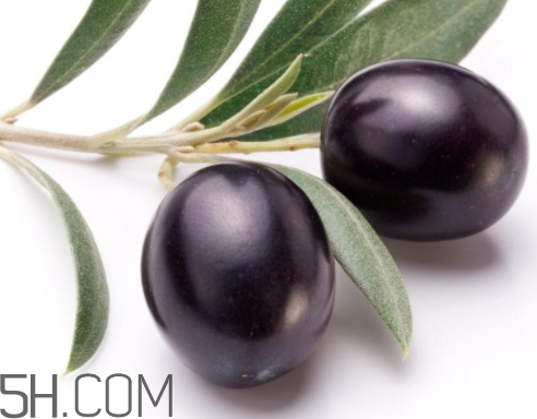 黑橄欖可以泡酒嗎 黑橄欖怎么釀酒 黑橄欖可以泡酒嗎 黑橄欖怎么釀酒