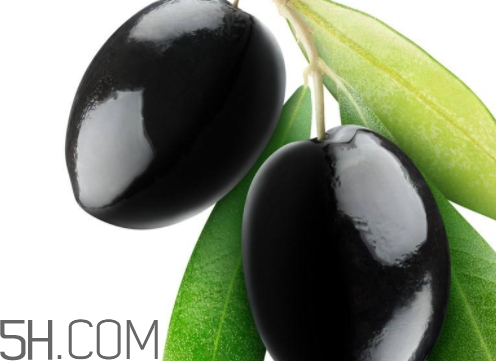 黑橄欖可以泡酒嗎 黑橄欖怎么釀酒 黑橄欖可以泡酒嗎 黑橄欖怎么釀酒