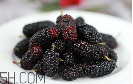 純牛奶熱著喝還是常溫喝？桑葚能和牛奶一起吃嗎？