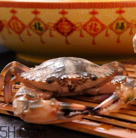 花蓋蟹怎么保存？花蓋蟹可以保存多久