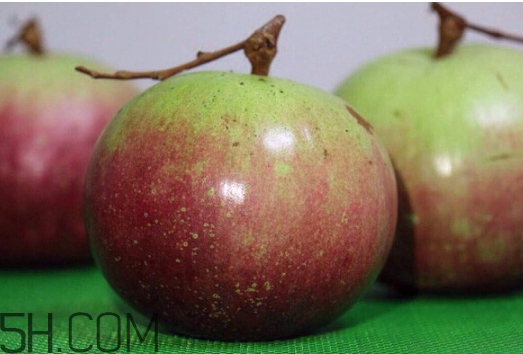 牛奶果是什么？牛奶果孕婦可以吃嗎？