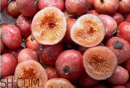 牛奶果是什么？牛奶果孕婦可以吃嗎？