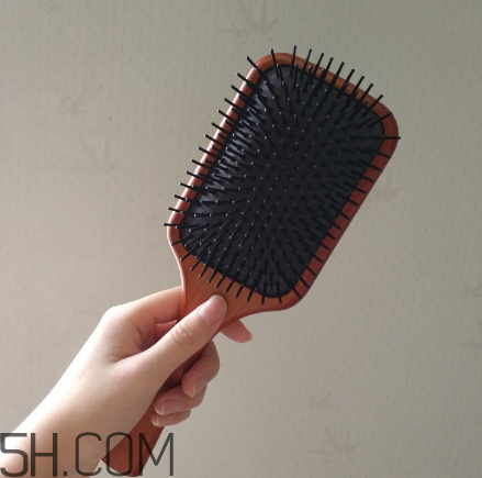 aveda艾凡達(dá)氣墊木梳怎么樣？好用嗎？