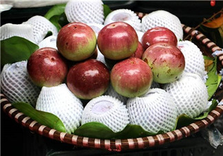 牛奶果是什么？牛奶果孕婦可以吃嗎？