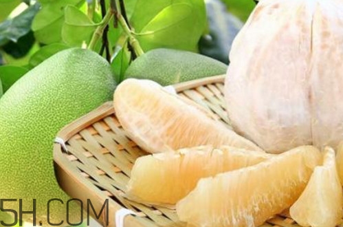 文旦柚多少錢一斤？文旦柚是寒性食物嗎