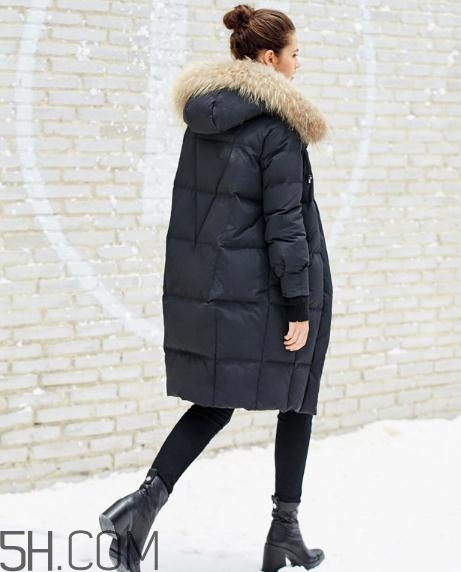 貉子毛和狐貍毛哪個好？貉子毛和狐貍毛的區(qū)別