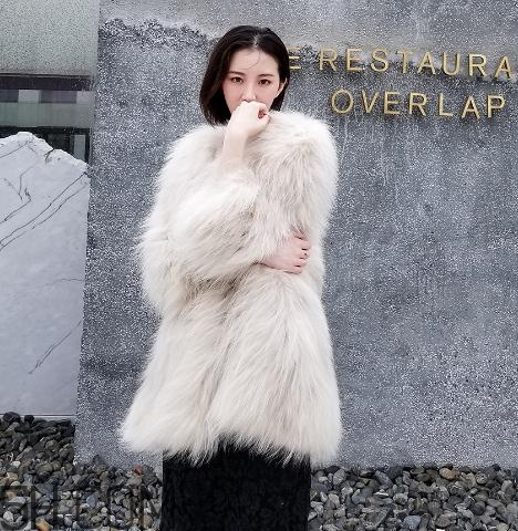 貉子毛是什么毛？貉子毛貴嗎？