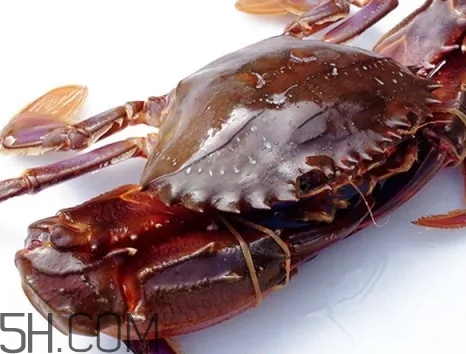 海虹蟹和梭子蟹哪個好？海虹蟹和梭子蟹的區(qū)別