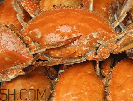 海虹蟹和梭子蟹哪個好？海虹蟹和梭子蟹的區(qū)別