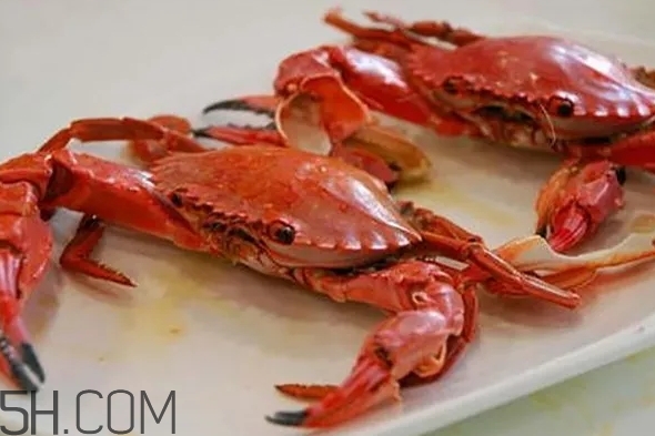 海虹蟹和梭子蟹哪個好？海虹蟹和梭子蟹的區(qū)別