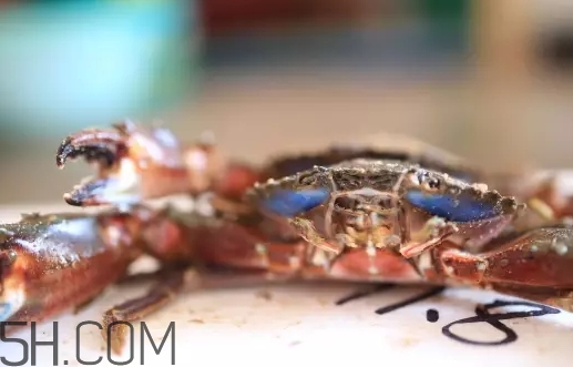海虹蟹蒸多久才可以熟？海虹蟹蒸多長時間