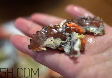 海虹蟹蒸多久才可以熟？海虹蟹蒸多長時間