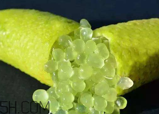 指橙好吃嗎 指橙是什么味道的 指橙好吃嗎 指橙是什么味道的