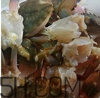 海虹蟹怎么做好吃？海紅蟹的做法