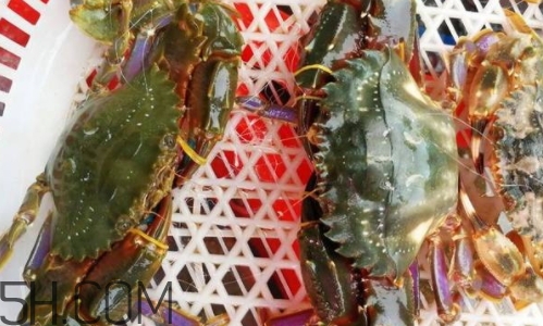 海虹蟹好吃嗎？海虹蟹多少錢一斤