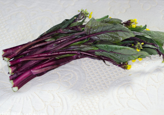 紅菜苔什么時(shí)候播種？紅菜苔什么季節(jié)才能吃