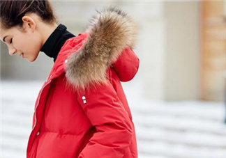 貉子毛和狐貍毛哪個好？貉子毛和狐貍毛的區(qū)別