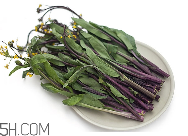 紅菜苔為什么炒出來(lái)的汁是藍(lán)色的？紅菜苔是什么菜