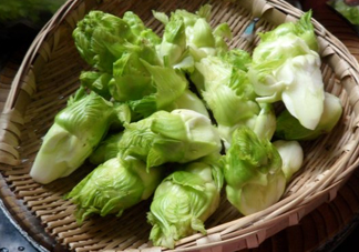 兒菜為什么叫兒菜？?jī)翰耸裁醇竟?jié)吃的