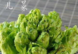 青菜頭是不是兒菜？大頭菜和兒菜的區(qū)別