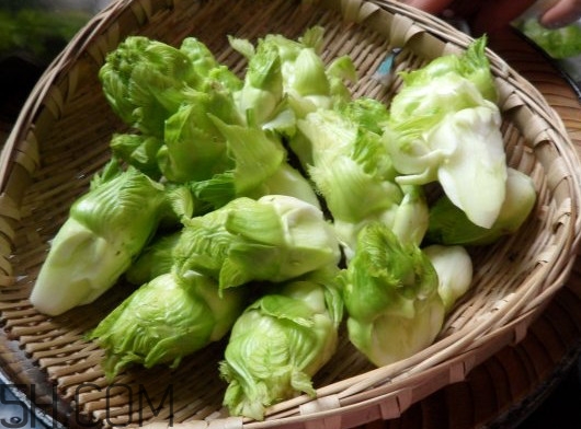 兒菜為什么叫兒菜？?jī)翰耸裁醇竟?jié)吃的