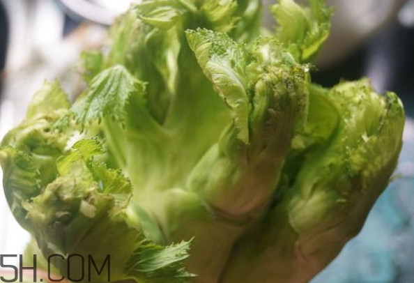 兒菜為什么叫兒菜？?jī)翰耸裁醇竟?jié)吃的