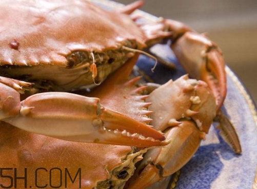 冬蟹怎么做？冬蟹的做法大全