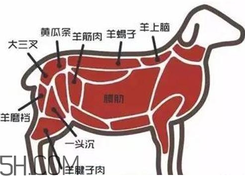 涮羊肉哪個(gè)部位最好吃？涮羊肉都有什么菜？