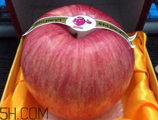 世界一號(hào)蘋果多少錢？世界一號(hào)蘋果好吃嗎