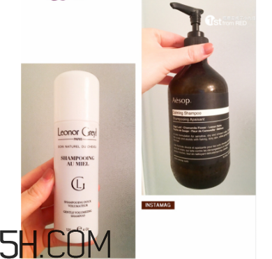 leonor greyl和伊索洗發(fā)水對(duì)比 leonor greyl洗發(fā)水測(cè)評(píng)