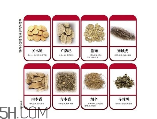 含馬兜鈴酸的藥都不能吃嗎？馬兜鈴酸真的會致癌嗎