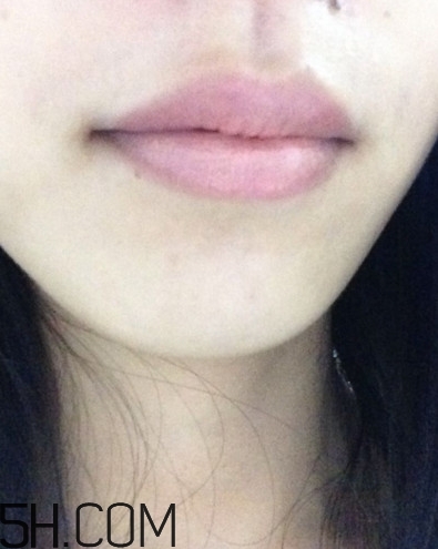 dhc美容液唇膏好嗎？dhc尊貴美容液唇膏試色