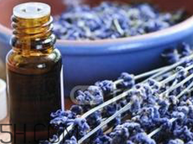 如何用精油護發(fā)？薰衣草精油護發(fā)怎么用？