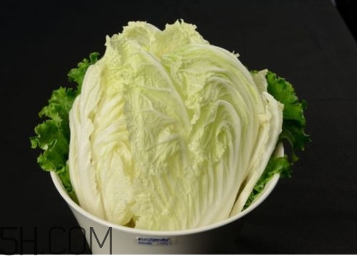 大白菜起源是哪里？大白菜產(chǎn)地分布有哪些