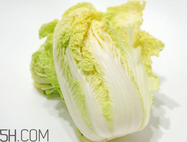 大白菜起源是哪里？大白菜產(chǎn)地分布有哪些