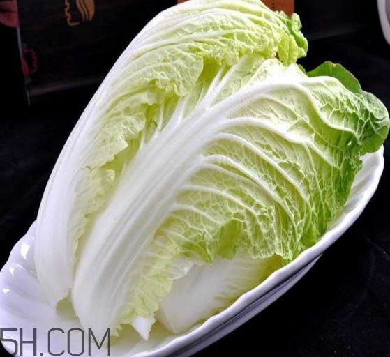 大白菜起源是哪里？大白菜產(chǎn)地分布有哪些