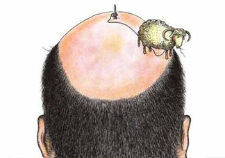 禿頂了還能長出頭發(fā)嗎？禿頂和性欲太強是不是有關(guān)