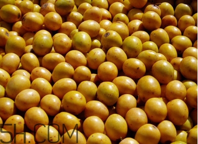 南酸棗什么時候成熟？南酸棗怎么種